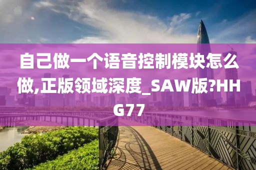 自己做一个语音控制模块怎么做,正版领域深度_SAW版?HHG77