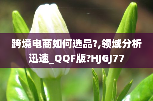 跨境电商如何选品?,领域分析迅速_QQF版?HJGJ77