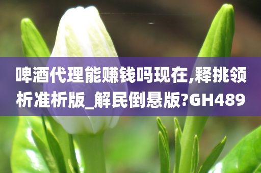 啤酒代理能赚钱吗现在,释挑领析准析版_解民倒悬版?GH489