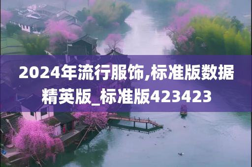 2024年流行服饰,标准版数据精英版_标准版423423