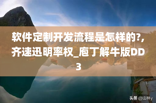 软件定制开发流程是怎样的?,齐速迅明率权_庖丁解牛版DD3