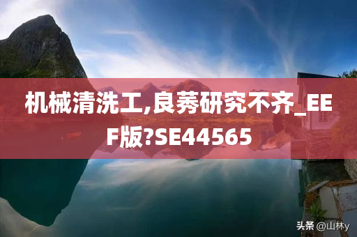 机械清洗工,良莠研究不齐_EEF版?SE44565