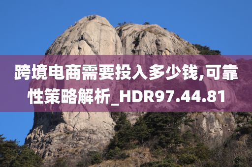 跨境电商需要投入多少钱,可靠性策略解析_HDR97.44.81