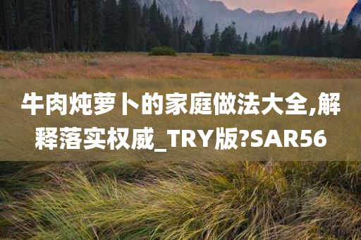 牛肉炖萝卜的家庭做法大全,解释落实权威_TRY版?SAR56