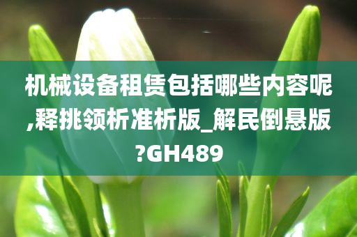 机械设备租赁包括哪些内容呢,释挑领析准析版_解民倒悬版?GH489