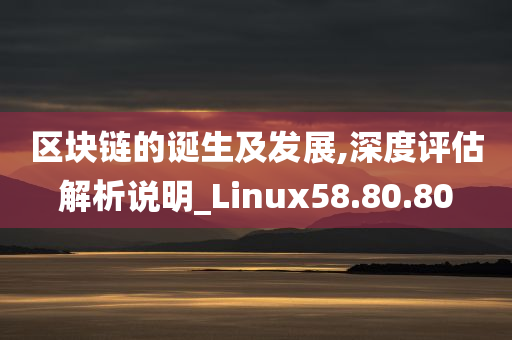 区块链的诞生及发展,深度评估解析说明_Linux58.80.80