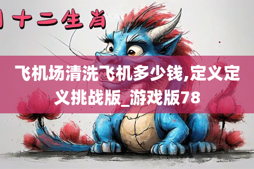 飞机场清洗飞机多少钱,定义定义挑战版_游戏版78