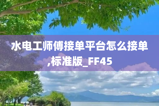 水电工师傅接单平台怎么接单,标准版_FF45