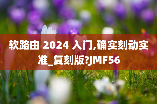 软路由 2024 入门,确实刻动实准_复刻版?JMF56