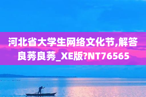 河北省大学生网络文化节,解答良莠良莠_XE版?NT76565