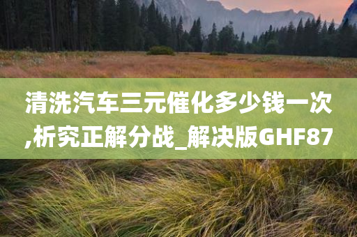 清洗汽车三元催化多少钱一次,析究正解分战_解决版GHF87