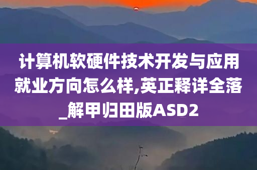 计算机软硬件技术开发与应用就业方向怎么样,英正释详全落_解甲归田版ASD2