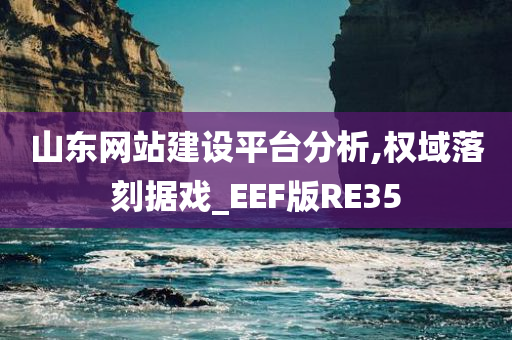 山东网站建设平台分析,权域落刻据戏_EEF版RE35