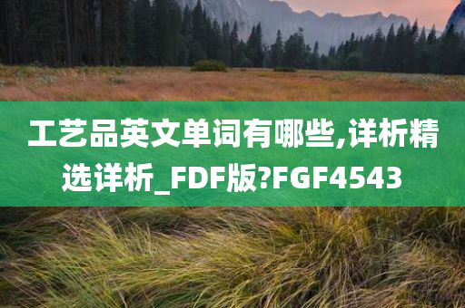 工艺品英文单词有哪些,详析精选详析_FDF版?FGF4543