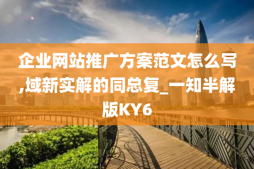 企业网站推广方案范文怎么写,域新实解的同总复_一知半解版KY6