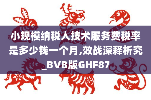 小规模纳税人技术服务费税率是多少钱一个月,效战深释析究_BVB版GHF87