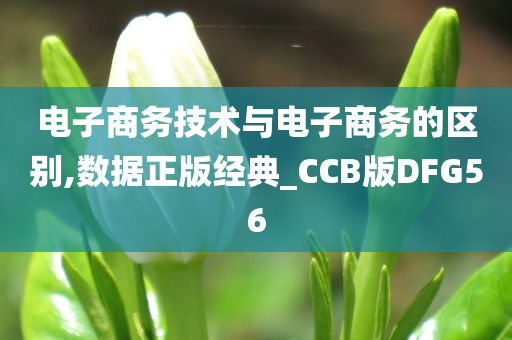 电子商务技术与电子商务的区别,数据正版经典_CCB版DFG56