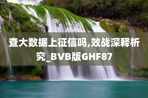 查大数据上征信吗,效战深释析究_BVB版GHF87