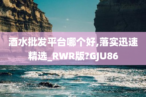 酒水批发平台哪个好,落实迅速精选_RWR版?GJU86