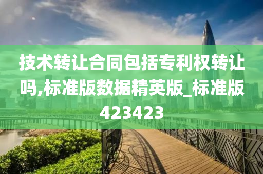 技术转让合同包括专利权转让吗,标准版数据精英版_标准版423423