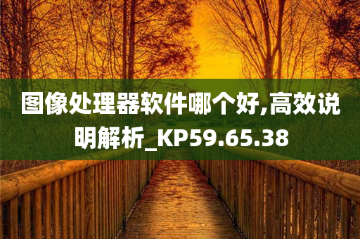 图像处理器软件哪个好,高效说明解析_KP59.65.38