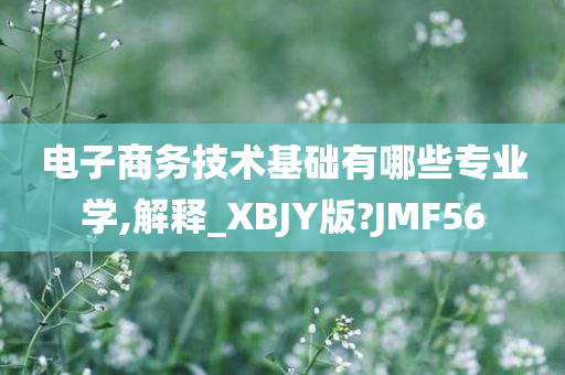 电子商务技术基础有哪些专业学,解释_XBJY版?JMF56