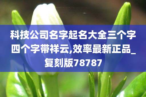 科技公司名字起名大全三个字四个字带祥云,效率最新正品_复刻版78787