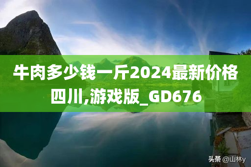 牛肉多少钱一斤2024最新价格四川,游戏版_GD676