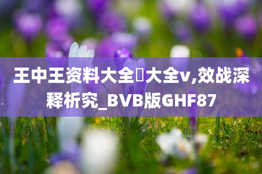 王中王资料大全枓大全v,效战深释析究_BVB版GHF87