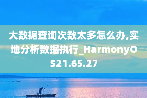 大数据查询次数太多怎么办,实地分析数据执行_HarmonyOS21.65.27