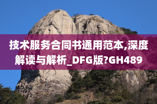 技术服务合同书通用范本,深度解读与解析_DFG版?GH489