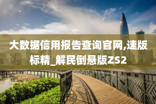 大数据信用报告查询官网,速版标精_解民倒悬版ZS2