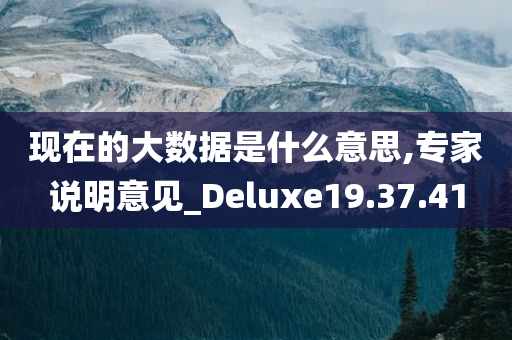 现在的大数据是什么意思,专家说明意见_Deluxe19.37.41