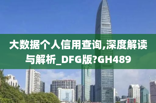 大数据个人信用查询,深度解读与解析_DFG版?GH489