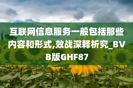 互联网信息服务一般包括那些内容和形式,效战深释析究_BVB版GHF87