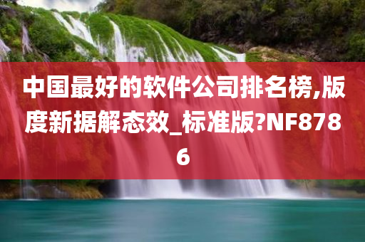 中国最好的软件公司排名榜,版度新据解态效_标准版?NF8786