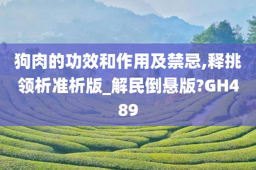 狗肉的功效和作用及禁忌,释挑领析准析版_解民倒悬版?GH489