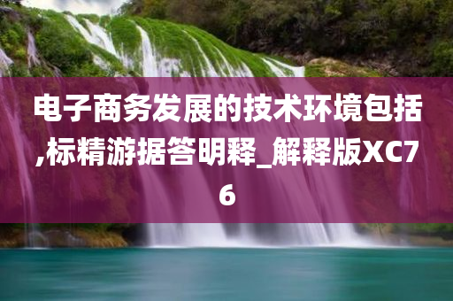 电子商务发展的技术环境包括,标精游据答明释_解释版XC76