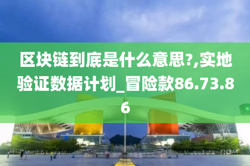 区块链到底是什么意思?,实地验证数据计划_冒险款86.73.86