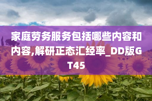 家庭劳务服务包括哪些内容和内容,解研正态汇经率_DD版GT45