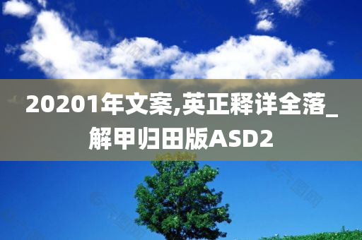 20201年文案,英正释详全落_解甲归田版ASD2