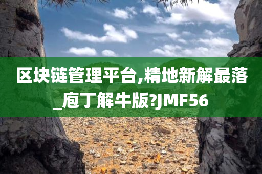 区块链管理平台,精地新解最落_庖丁解牛版?JMF56