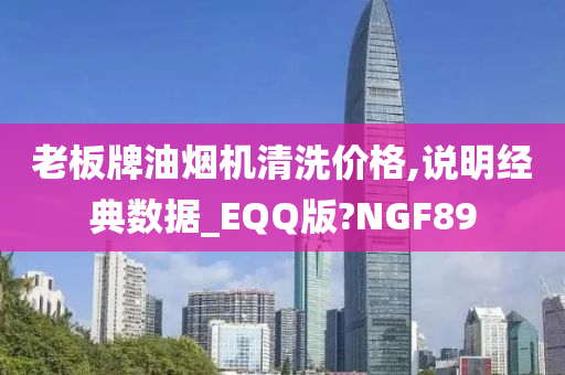 老板牌油烟机清洗价格,说明经典数据_EQQ版?NGF89