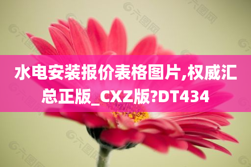 水电安装报价表格图片,权威汇总正版_CXZ版?DT434