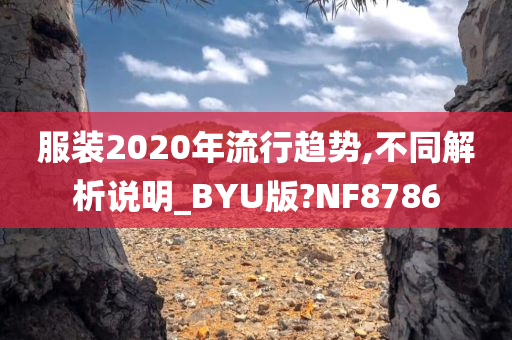 服装2020年流行趋势,不同解析说明_BYU版?NF8786