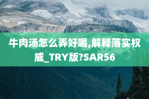 牛肉汤怎么弄好喝,解释落实权威_TRY版?SAR56