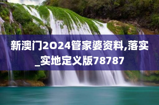 新澳门2O24管家婆资料,落实_实地定义版78787