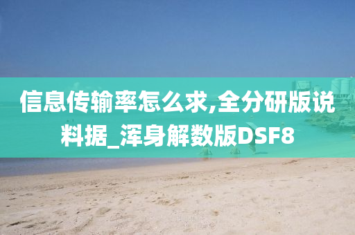 信息传输率怎么求,全分研版说料据_浑身解数版DSF8