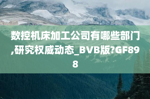 数控机床加工公司有哪些部门,研究权威动态_BVB版?GF898