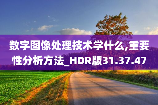 数字图像处理技术学什么,重要性分析方法_HDR版31.37.47